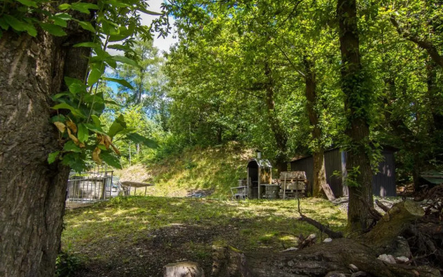 Ristorante Pensione Belandin