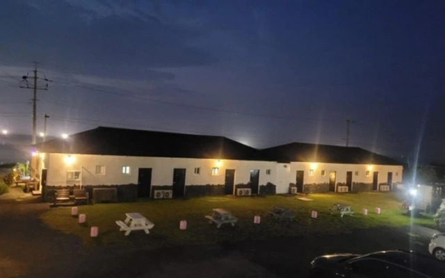 Jeju If you Meet a Dolphin in Jeju