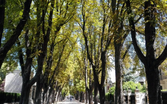 Habitaka Hogares de Paso