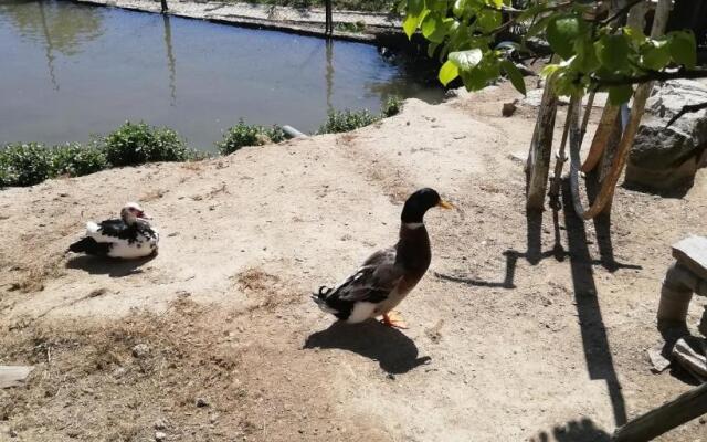 My Portugal for All - Lousada Villa