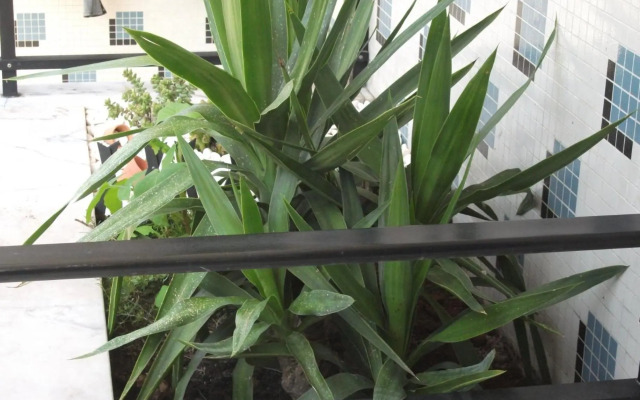 APART Alojamentos Para Turismo e Negocios