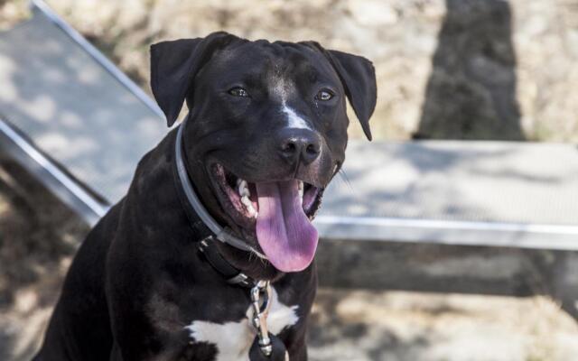 Edera in Poggibonsi With 1 Bedrooms and 1 Bathrooms