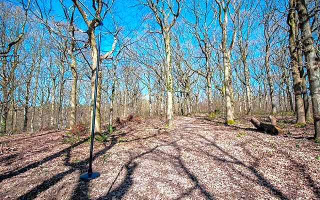 Oakside Tree Tops