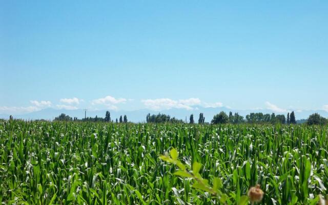 Gite 3 Logis Gascons