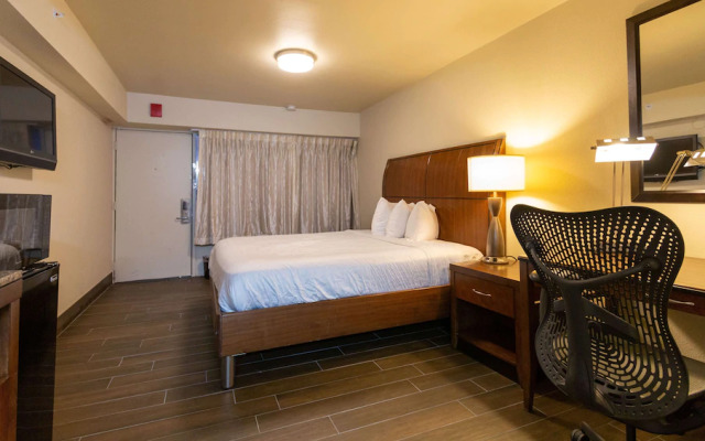 Budget Lodge
