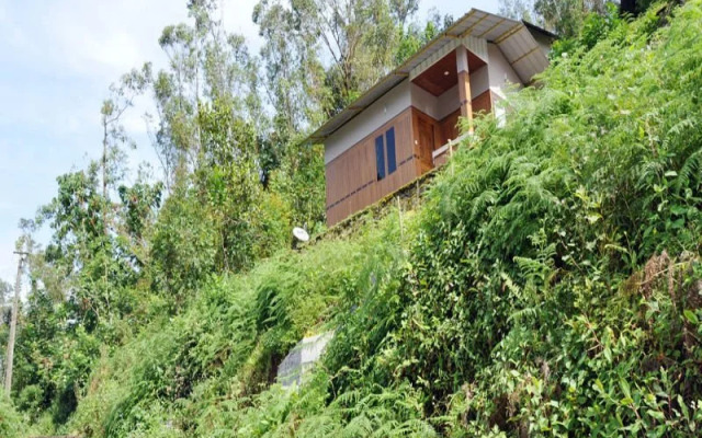 Snowdrops Homestay