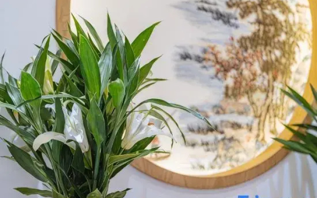 Jiuhuashan Hanshanju Homestay