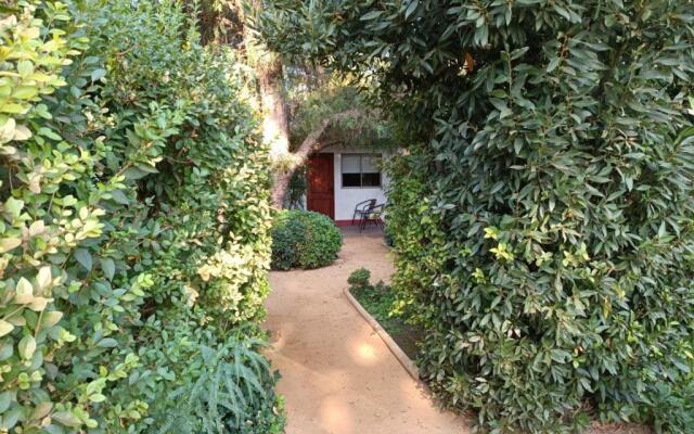 Casa Calfu B&B