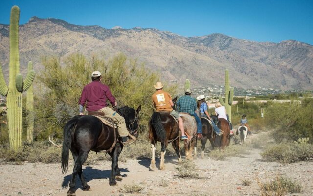 Hacienda Del Sol Guest Ranch Resort