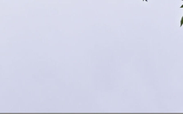 Holiday Inn Express Hotel & Suites Idaho Falls by IHG