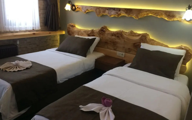 Sarikamis Kayi Snow Otel