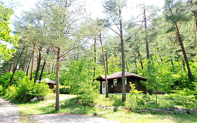 Yangyang Forest Home Pension