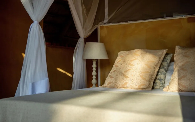Turtle Cove Lodge and Yoga Shala
