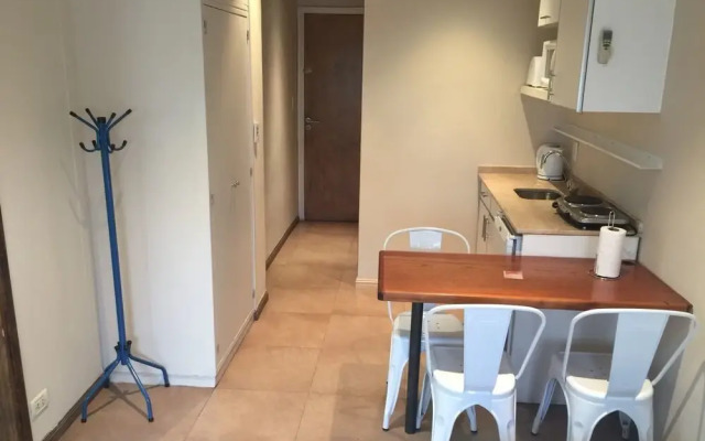 Cozy apt in the heart of Mendoza