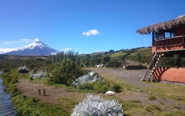 Mauca Pedregal