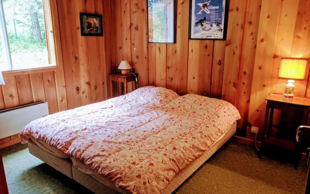 Alpine Chalet La Conchette