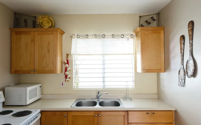 New Kingston Guest Apartment VII