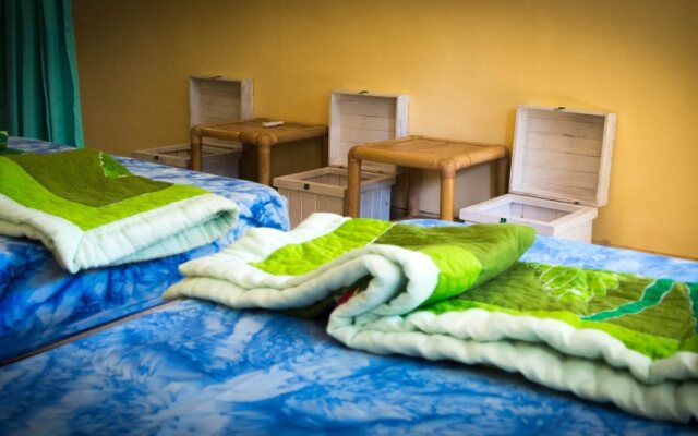 Citrus Tree B&B - Widia