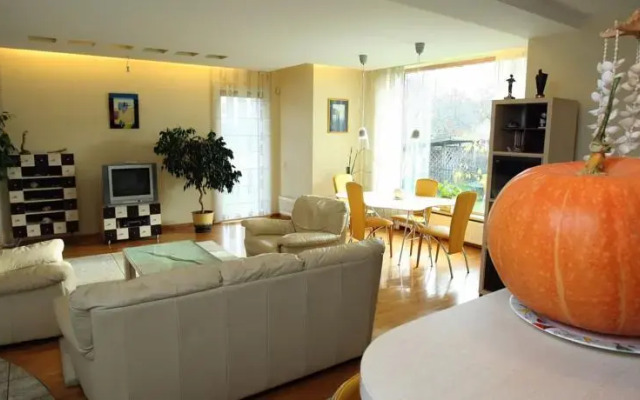 Luxury 7 room villa