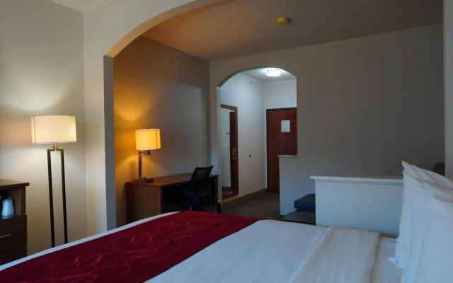 Comfort Suites Bush Intercontinental Airport