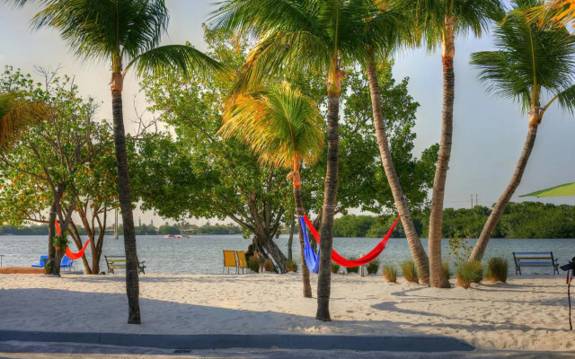 Ibis Bay Beach Resort