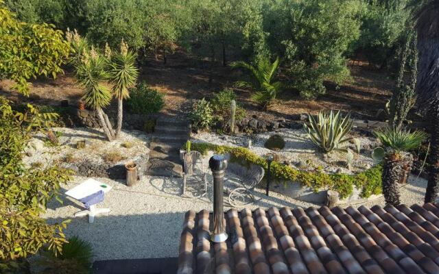 Tenuta i boleti