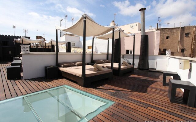 Purohotel Palma