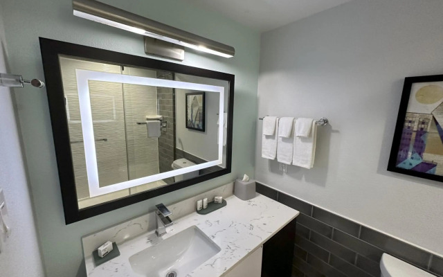 Holiday Inn Express Dallas Downtown by IHG