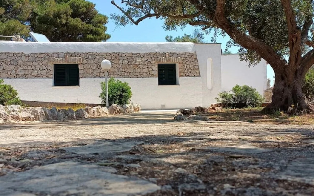 Scogliera del Gabbiano