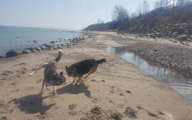 Ferienwohnanlage Majorcas