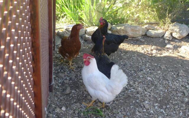 Finca Higueron