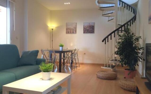 Suite Homes Atico Larios