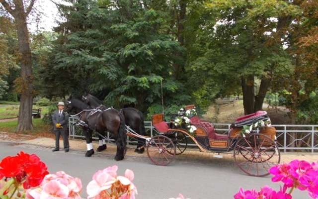Parkhotel Pretzsch