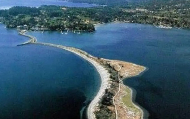 Seagull Studio Vacation Guest Suite