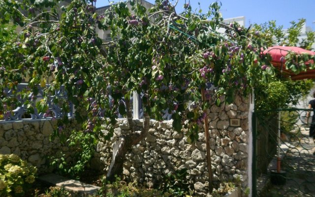 Studio in Nociglia, With Enclosed Garden and Wifi - 20 km From the Bea