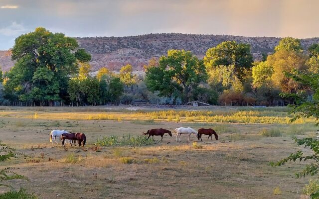 Canyons of Escalante RV Park