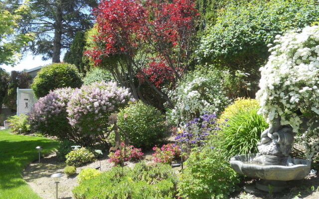 A View to Remember Bed & Breakfast