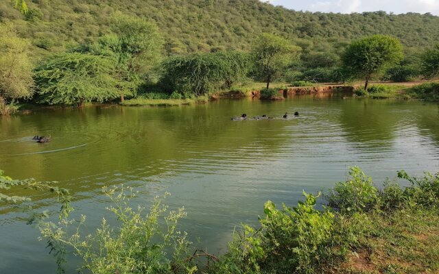 Sariska - Tiger Heaven, A Sterling Holidays Resort