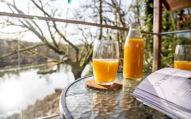 Treehouse in Germansweek Near Dartmoor Trails