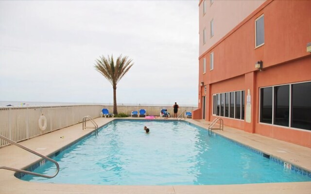 Royal Palms 806NS by RedAwning