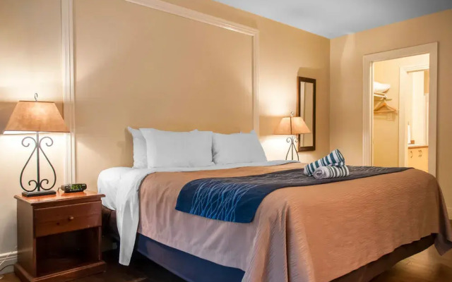 Comfort Inn And Suites