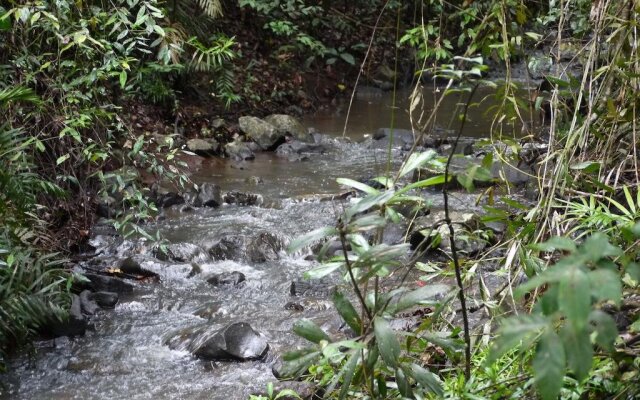 Figtree Getaway