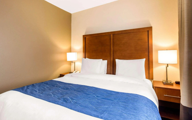 Comfort Inn & Suites IAH Bush Airport – East