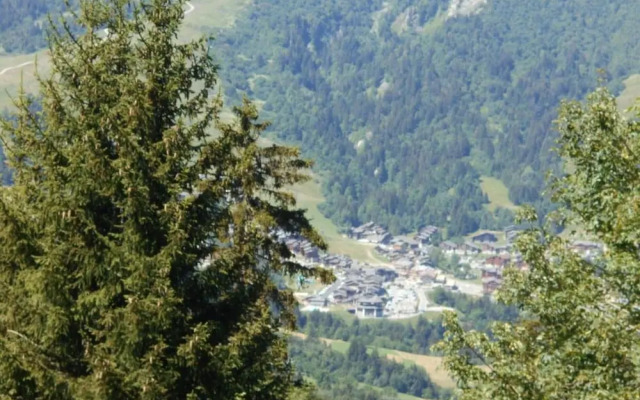 Apartment in Doucy With Mountain Views