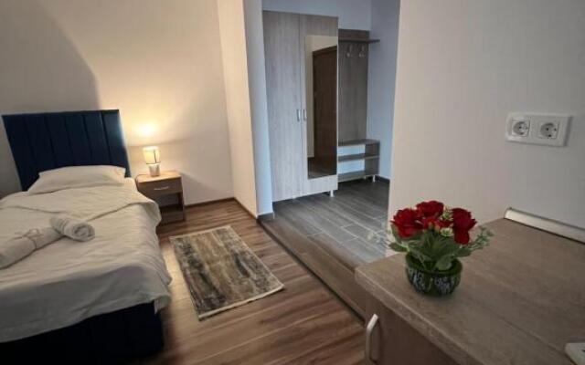 Aparthotel Plevnei4