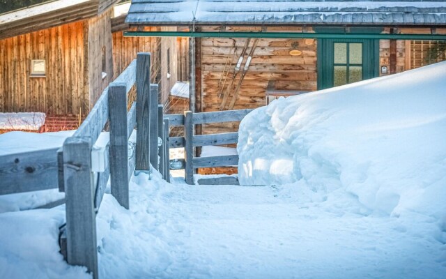 Stunning Apartment in Hohentauern With 1 Bedrooms and Wifi