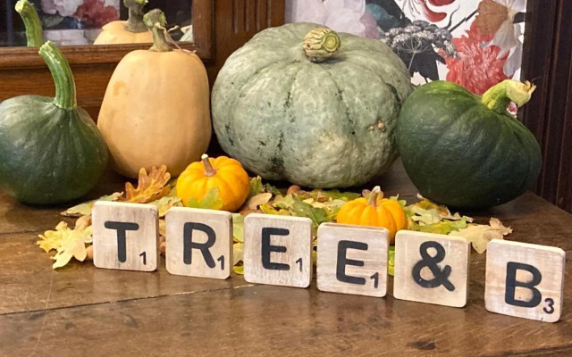 Tree & B