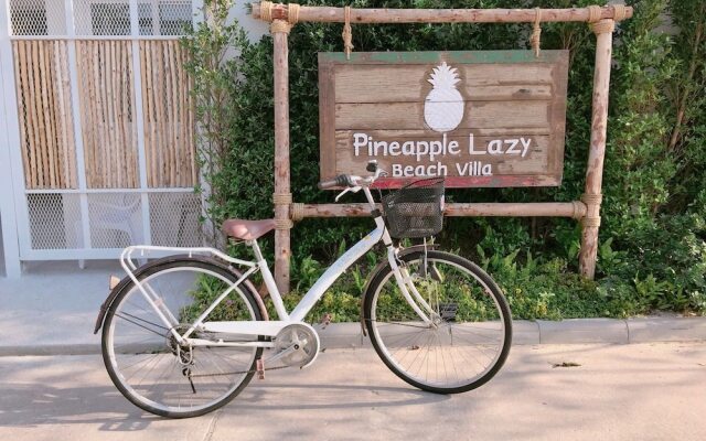 Pineapple Lazy Beach Villa