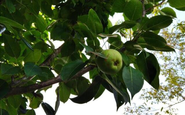 Casa 2 dorm em Botucatu próx unesp