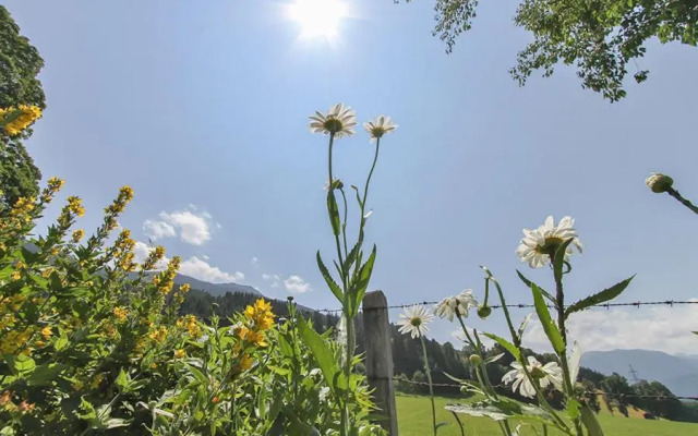 Ferienwohnung Schwalbenwandblick